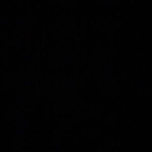 Meet your Posher, Perla